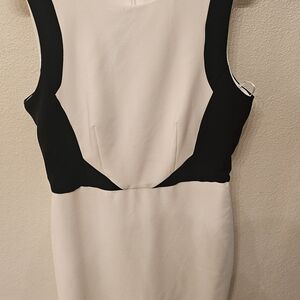 Maggy London Black and Cream Mini Dress